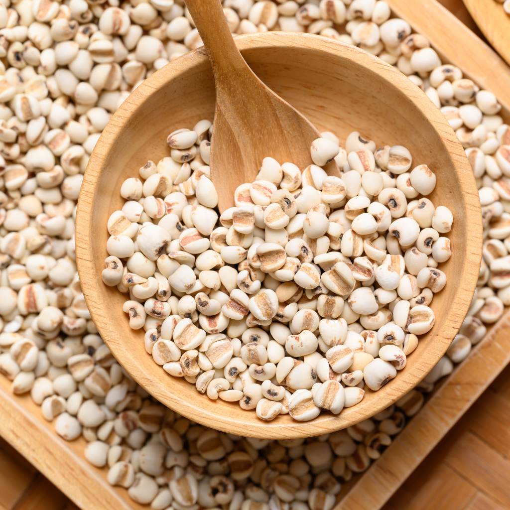 ADLAI/ ADLAY/ JOB’s TEARS